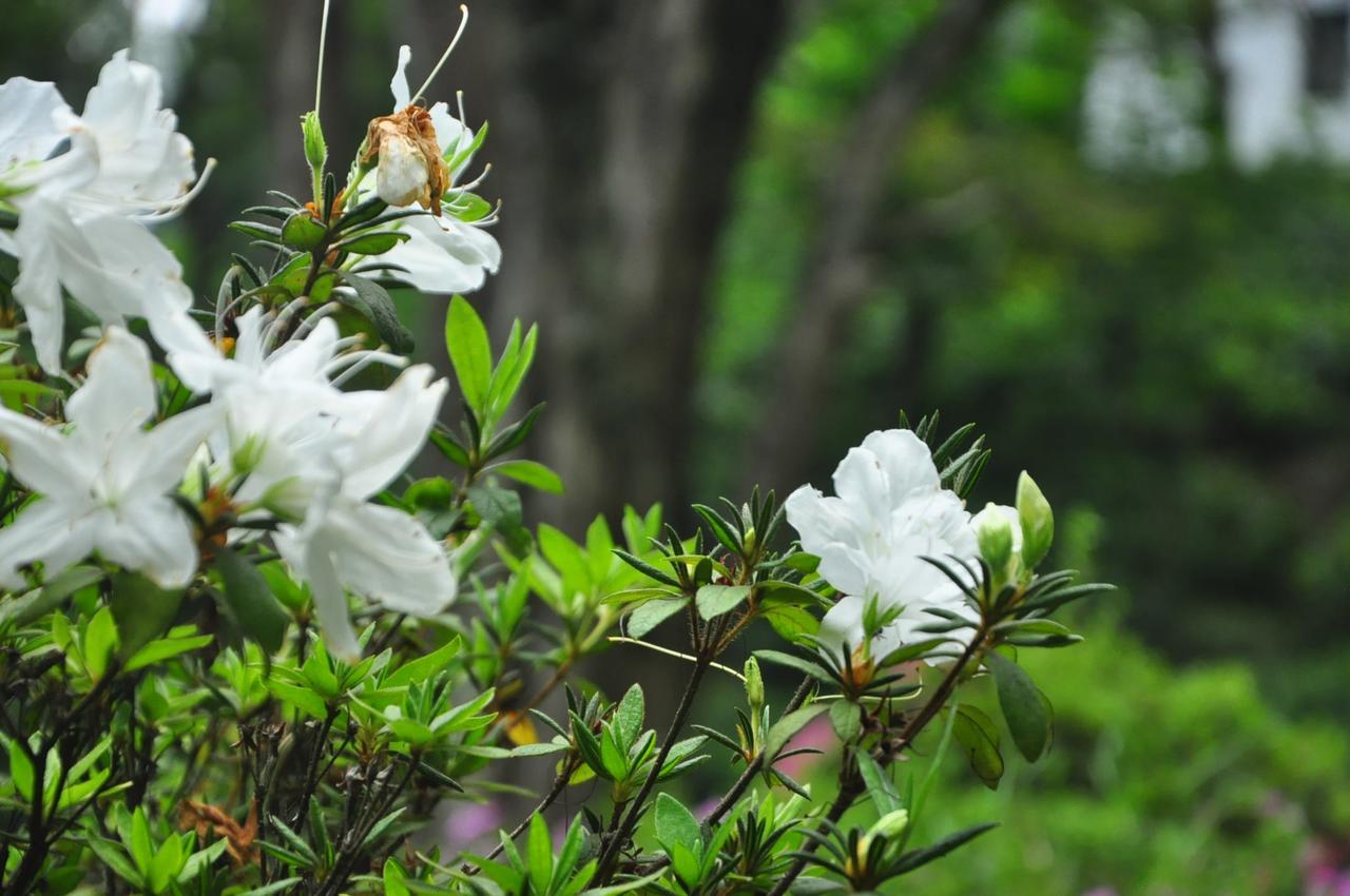 Nature Relax Ella Εξωτερικό φωτογραφία
